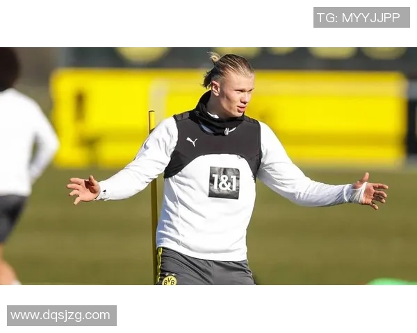 哈兰德足球生涯精彩瞬间集锦以及球场英姿全景展示